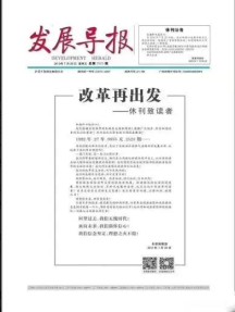 发展导报